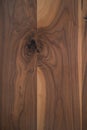 Texture of black walnut wood with some sapwood Royalty Free Stock Photo