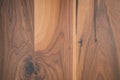 Texture of black walnut wood with some sapwood Royalty Free Stock Photo