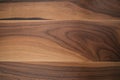 Texture of black walnut wood with some sapwood