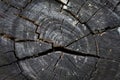 Texture of black wood logs background with crack damage of aged Royalty Free Stock Photo