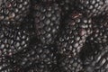 Texture with blackberry closeup, background of berries, horizontal frame Royalty Free Stock Photo