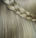 The texture of blonde women`s long hair with a pigtail. Hairstyles, hair health, hair care