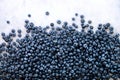 Texture of blueberry berries close up. Border design. Fresh blueberries background with copy space for your text. Vegan