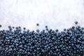 Texture of blueberry berries close up. Border design. Fresh blueberries background with copy space for your text. Vegan