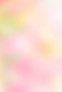 Texture blur green pink yellow and white mix color pastel nature Royalty Free Stock Photo