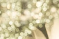 The Texture bokeh , bokeh background style abstract , xmas holiday