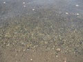 The texture of the bottom. Many small stones are visible under the clear water. Water ripples of the sea, sun rays on Royalty Free Stock Photo