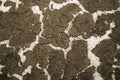 The texture of the bottom of the reservoir sand and the accumulation of silt on top. Background. Toning.