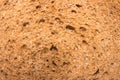 Texture of bread.Background bread. Royalty Free Stock Photo