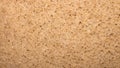 Texture of bread.Background bread. Royalty Free Stock Photo