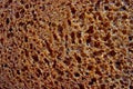 Texture of bread baking fiber, rye closeup Royalty Free Stock Photo