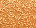 Texture of bread with sesame pips