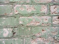 Texture of brick wall of green flowers, old background