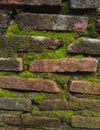 the texture of bricks with green mossÃ¯Â¿Â¼ Royalty Free Stock Photo