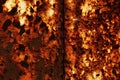 Texture of a bright rusty piece of metal, background