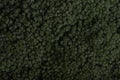 Texture of broccoli macro. Top view of broccoli. Organic food background