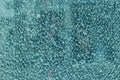 Texture of broken glass with beautiful mosaic seams, blue hue, b Royalty Free Stock Photo