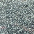 Texture of broken glass with beautiful mosaic seams, gray hue, b Royalty Free Stock Photo