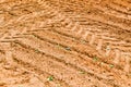 The texture of the brown earth of the sand road with traces of the tire treads of the tractor`s car tires. The background Royalty Free Stock Photo