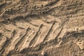 The texture of the brown earth of the sand road with traces of the tire treads of the tractor`s car tires. The background Royalty Free Stock Photo