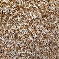 Texture of brown fur for interior design project. Shaggy wool carpet background. Royalty Free Stock Photo