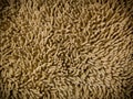 Texture of brown microfiber fabric