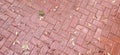 Texture. Brown paving stones after rain. Royalty Free Stock Photo