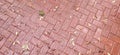 Texture. Brown paving stones after rain.