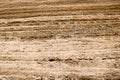 Texture of brown plowed dry land with beds, stripes of sand Royalty Free Stock Photo
