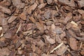 Texture of brown tree bark or mulch. nature organic background, pattern