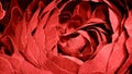 The texture of a bud of red flower made of paper.