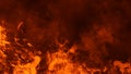 Texture of burn fire. Flames on isolated black background. Texture for banner,flyer,card Royalty Free Stock Photo