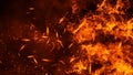 Texture of burn fire. Flames on isolated black background. Texture for banner,flyer,card Royalty Free Stock Photo