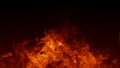 Texture of burn fire with particles embers. Flames on isolated black background. Texture for banner,flyer,card