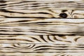 Texture of a burn wood as a background