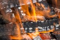 Texture of burning flame of fire coal firewood. Royalty Free Stock Photo