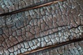 Texture of burnt wood Royalty Free Stock Photo