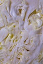 texture of cabbage in a cut close-up. Royalty Free Stock Photo
