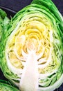 Texture of cabbage cut in half. Close up photo Royalty Free Stock Photo