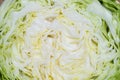 Texture of cabbage cut in half Royalty Free Stock Photo