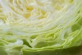 Texture of cabbage cut in half Royalty Free Stock Photo