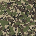 Texture camouflage military repeats army