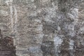 Texture of cement concrete wall. mortar wall.selective focus. Royalty Free Stock Photo