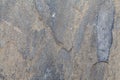 texture of cement concrete wall. mortar wall.selective focus. Royalty Free Stock Photo