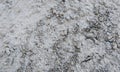 Texture.Cement texture.Tileable Stone Texture.Texture.Abstract stone lights stone texture with white background wallpaper. Royalty Free Stock Photo