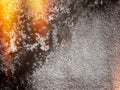 Texture cement wall background with dried moss and orange light Royalty Free Stock Photo