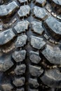 The texture of Centipede pattern mud terrain tire Royalty Free Stock Photo