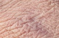Texture chapped pink of human skin with deep wrinkles and dry flakes
