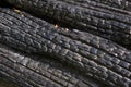 Texture of charred wooden wall Royalty Free Stock Photo