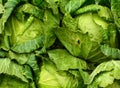 Texture of chinese cabbages